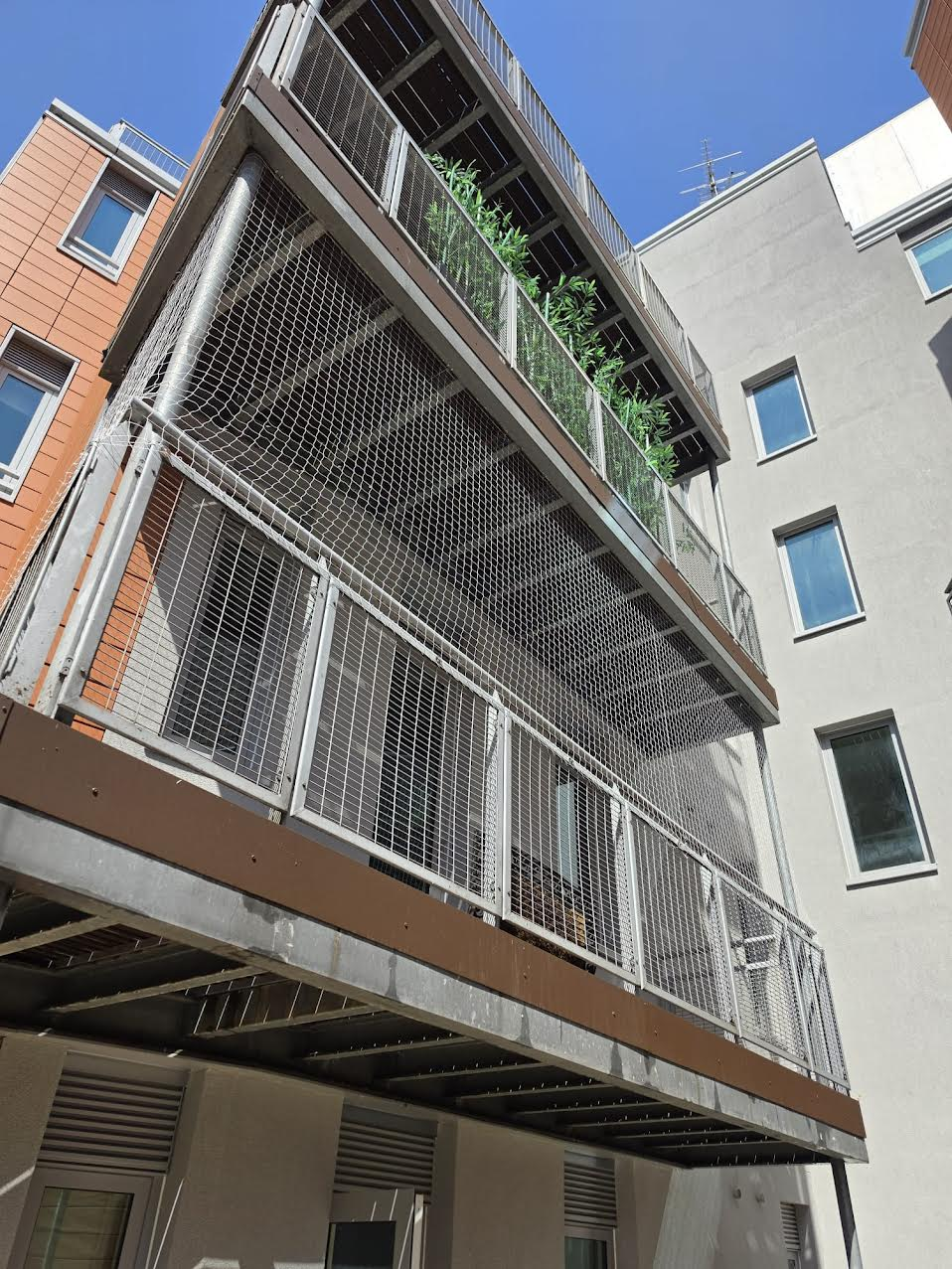 Professional bird proofing installation
